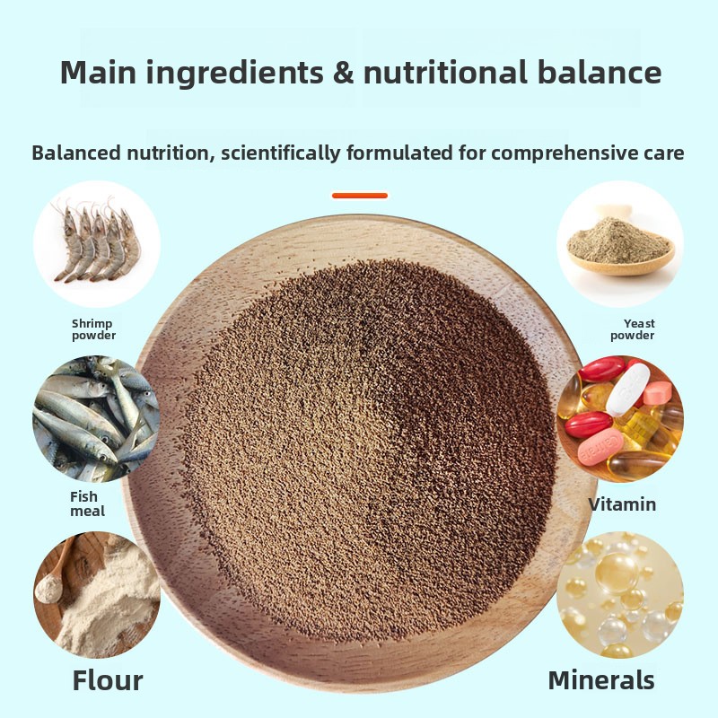 DINGZU طعام صغير عالي البروتين - مراجعة Baby Food High In Protein وسعره