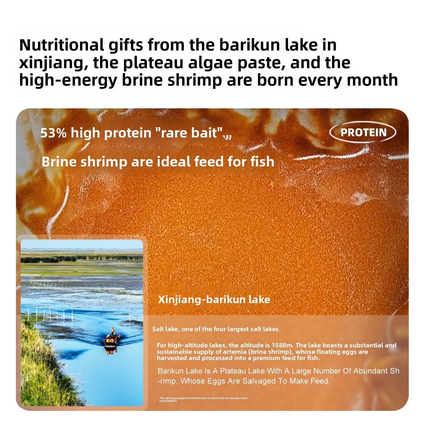 SANKii أرتيميا الروبيان المطلي - مراجعة Baby Food High In Protein وسعره