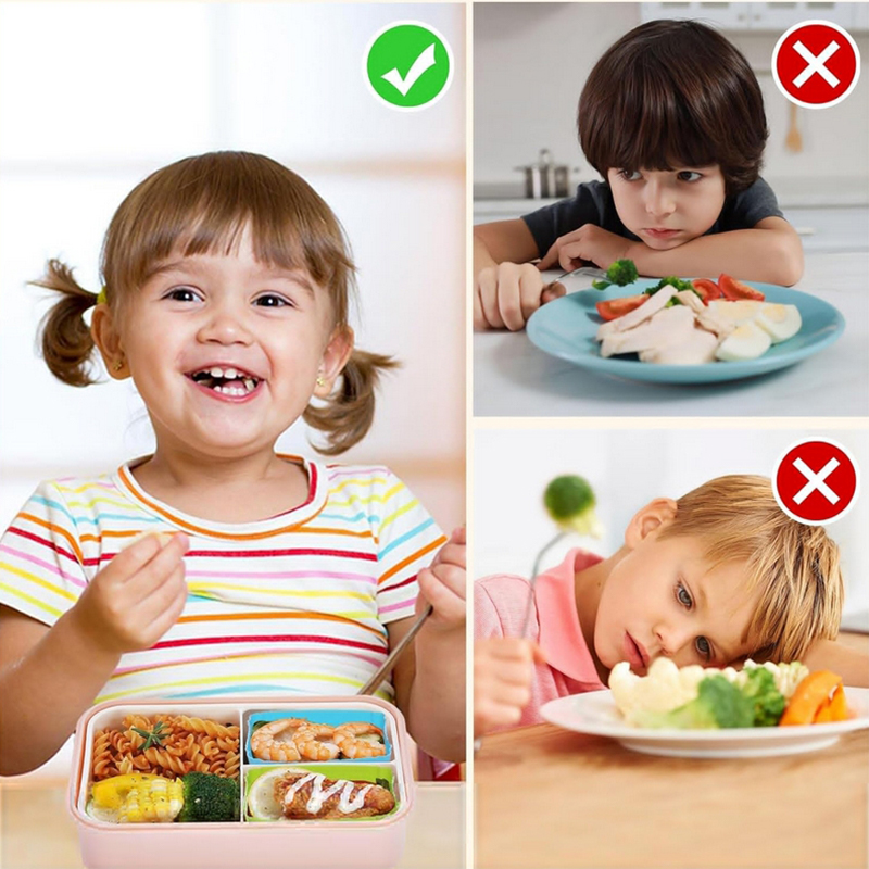 8 قطع من فواصل علب الغداء السي - مراجعة Baby Food Container وسعره