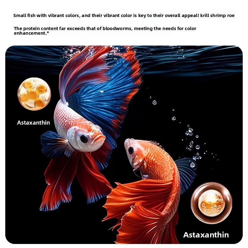 Yee Krill & Baby Shrimp Dry Fo - مراجعة Baby Food High In Protein وسعره